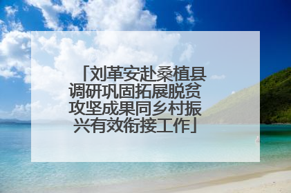 刘革安赴桑植县调研巩固拓展脱贫攻坚成果同乡村振兴有效衔接工作
