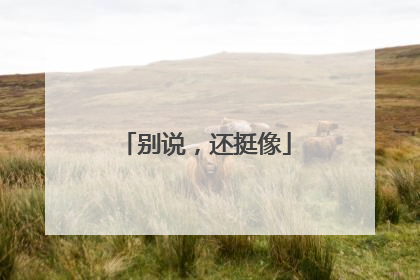 别说，还挺像