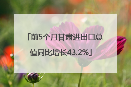 前5个月甘肃进出口总值同比增长43.2%