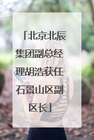 北京北辰集团副总经理胡浩获任石景山区副区长