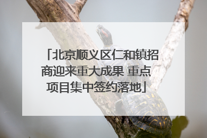 北京顺义区仁和镇招商迎来重大成果 重点项目集中签约落地