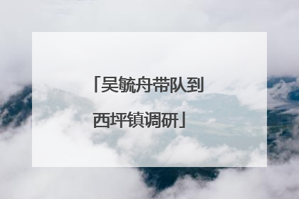 吴毓舟带队到西坪镇调研