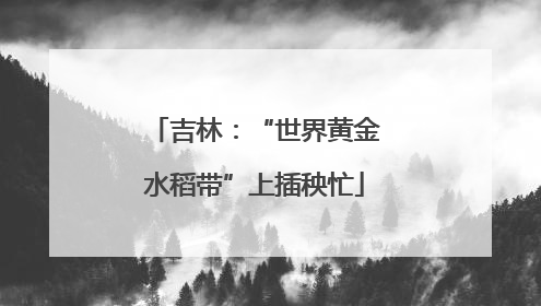 吉林：“世界黄金水稻带”上插秧忙
