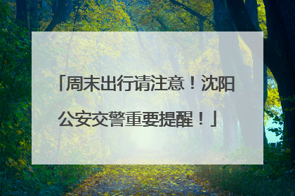 周末出行请注意！沈阳公安交警重要提醒！