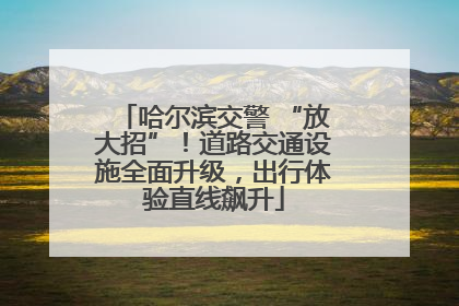 哈尔滨交警 “放大招”！道路交通设施全面升级，出行体验直线飙升