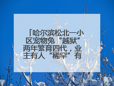 哈尔滨松北一小区宠物兔“越狱”两年繁育四代，业主有人“稀罕”有人忧，专家提醒