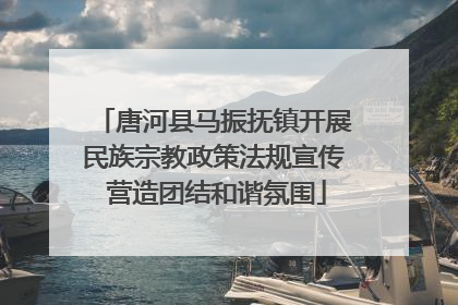 唐河县马振抚镇开展民族宗教政策法规宣传 营造团结和谐氛围