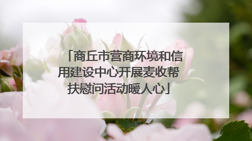 商丘市营商环境和信用建设中心开展麦收帮扶慰问活动暖人心