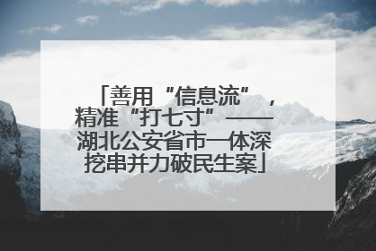 善用“信息流”，精准“打七寸”——湖北公安省市一体深挖串并力破民生案