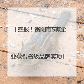 喜报！衡阳市5家企业获得省级品牌奖项