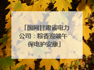 国网甘肃省电力公司：粽香迎端午 保电护安康