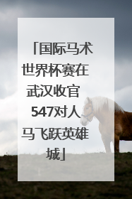 国际马术世界杯赛在武汉收官 547对人马飞跃英雄城
