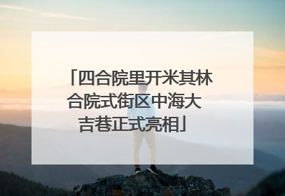 四合院里开米其林 合院式街区中海大吉巷正式亮相