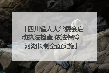 四川省人大常委会启动执法检查 依法保障河湖长制全面实施
