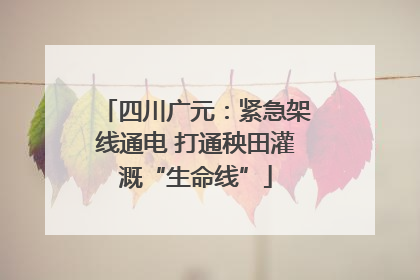 四川广元：紧急架线通电 打通秧田灌溉“生命线”
