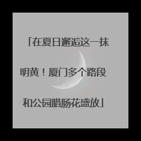 在夏日邂逅这一抹明黄！厦门多个路段和公园腊肠花盛放