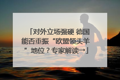 对外立场强硬 德国能否重振“欧盟领头羊”地位？专家解读→