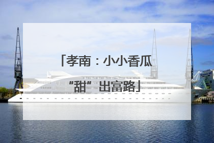 孝南：小小香瓜 “甜”出富路