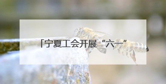 宁夏工会开展“六一”国际儿童节关爱活动