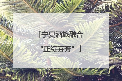 宁夏酒旅融合“正绽芬芳”