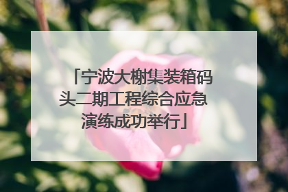 宁波大榭集装箱码头二期工程综合应急演练成功举行