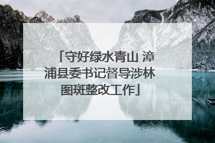 守好绿水青山 漳浦县委书记督导涉林图斑整改工作