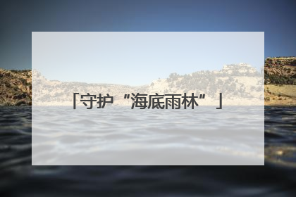 守护“海底雨林”