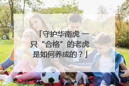 守护华南虎 一只“合格”的老虎是如何养成的？