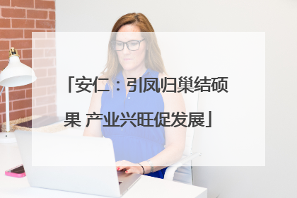 安仁：引凤归巢结硕果 产业兴旺促发展