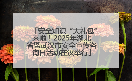 安全知识“大礼包”来啦！2025年湖北省暨武汉市安全宣传咨询日活动在汉举行