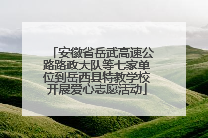 安徽省岳武高速公路路政大队等七家单位到岳西县特教学校开展爱心志愿活动