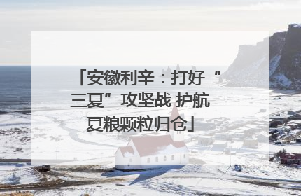 安徽利辛：打好“三夏”攻坚战 护航夏粮颗粒归仓