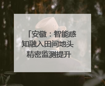 安徽：智能感知融入田间地头 精密监测提升防灾能力｜增发国债气象项目落地见效系列报道