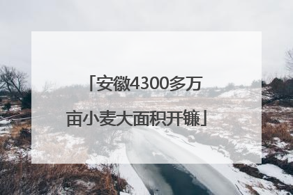安徽4300多万亩小麦大面积开镰