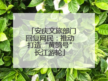 安庆文旅部门回复网民：推动打造“黄鹄号”长江游轮
