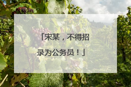 宋某，不得招录为公务员！