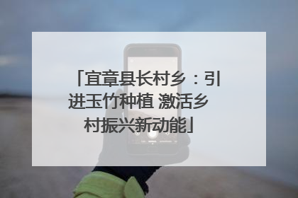宜章县长村乡：引进玉竹种植 激活乡村振兴新动能