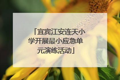 宜宾江安连天小学开展最小应急单元演练活动