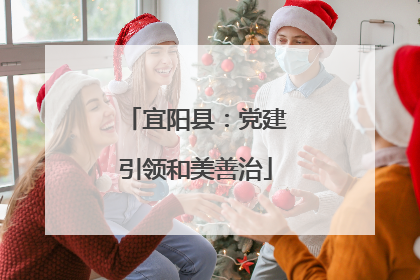 宜阳县：党建引领和美善治