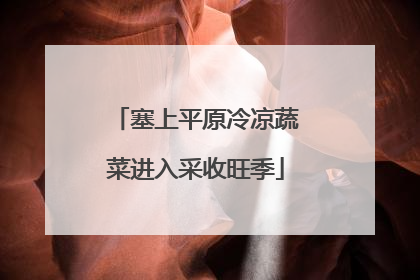 塞上平原冷凉蔬菜进入采收旺季