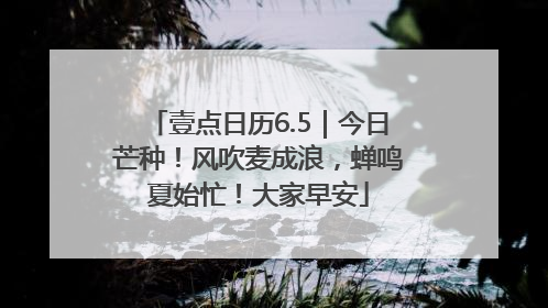 壹点日历6.5｜今日芒种！风吹麦成浪，蝉鸣夏始忙！大家早安
