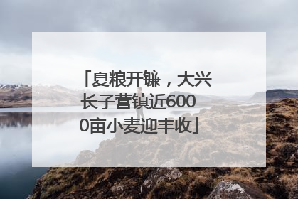 夏粮开镰，大兴长子营镇近6000亩小麦迎丰收