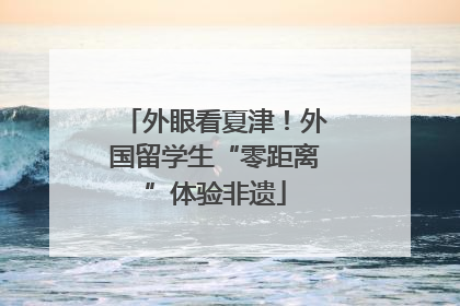 外眼看夏津！外国留学生“零距离”体验非遗