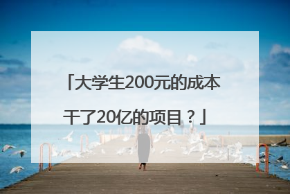 大学生200元的成本干了20亿的项目？