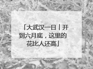 大武汉一日︱开到六月底，这里的花比人还高