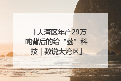 大湾区年产29万吨背后的给“荔”科技｜数说大湾区