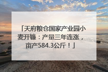 天府粮仓国家产业园小麦开镰：产量三年连涨，亩产584.3公斤！