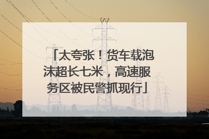 太夸张！货车载泡沫超长七米，高速服务区被民警抓现行