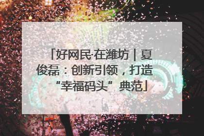 好网民·在潍坊｜夏俊磊：创新引领，打造“幸福码头”典范