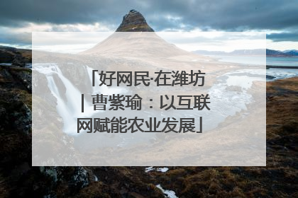 好网民·在潍坊｜曹紫瑜：以互联网赋能农业发展